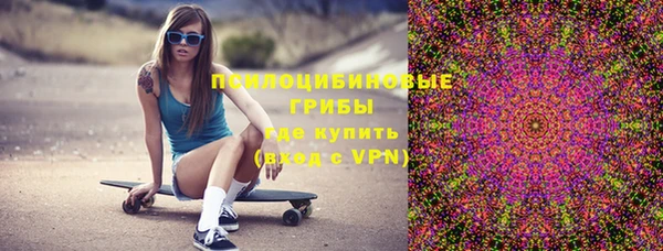 дживик Богданович