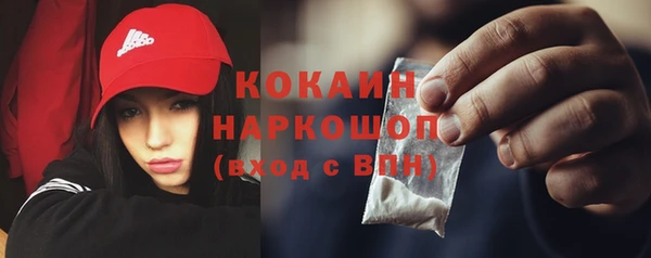 дживик Богданович