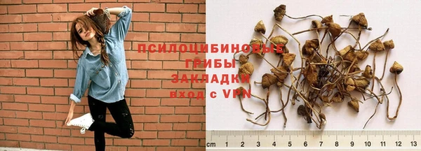дживик Богданович