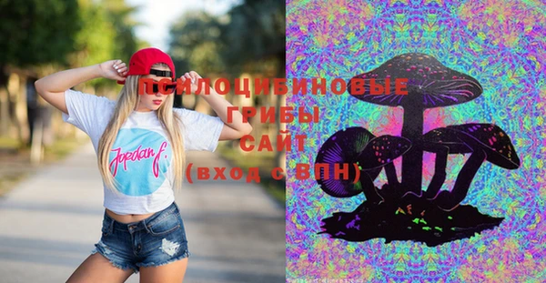 дживик Богданович