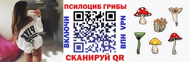 Псилоцибиновые грибы мухоморы  купить наркотик  Казань 